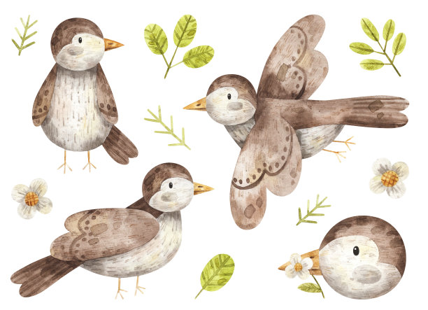 春季鸟类。图片下载