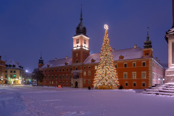 城堡广场对面的大圣诞树，夜晚有雪图片下载