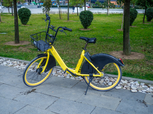 公园里的自行车租赁。停自行车。交通工具出租。在度假小镇散步时。在南方城市的公园里。图片下载