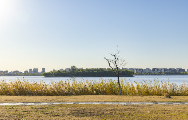 秋天公园景观图片下载