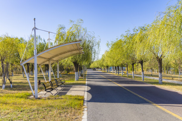 秋天公园里的长椅图片下载