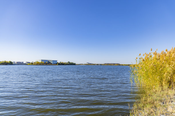 秋天公园景观图片下载