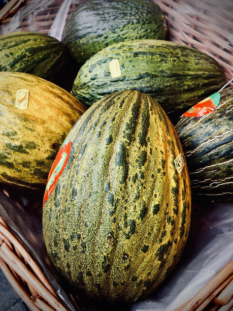冬瓜展销图片下载
