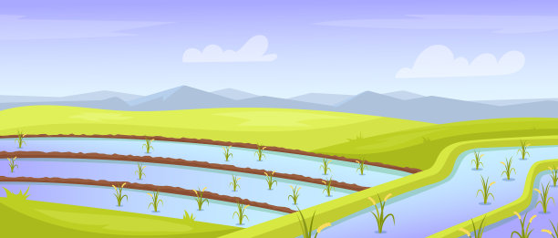 稻田景观亚洲农田浇水图片下载