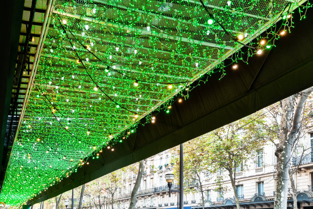 巴黎百货公司的圣诞彩灯图片下载