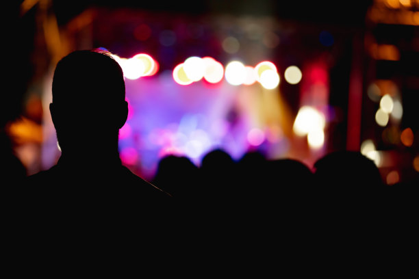 舞台灯光下音乐会人群的剪影图片下载