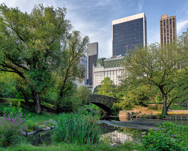 夏日清晨，中央公园的加普斯托桥图片下载