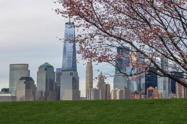 纽约市全景图图片下载