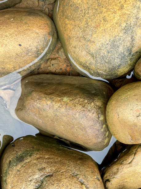 湿石在水塘里，有质感图片下载