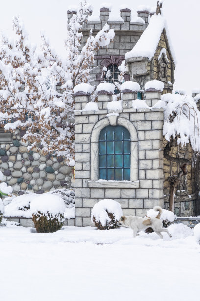 雪下的公共操场上的操场风景背景照片图片下载