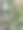 正式的法式春天花园图片下载