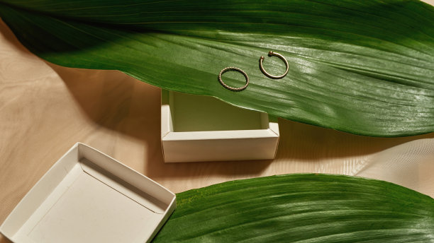 结婚戒指，叶子和打开的盒子在丝绸上图片下载