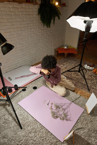 女孩拍玉轮，刷子，冰，树枝的照片图片下载