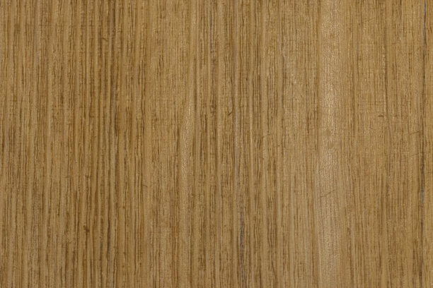 荷兰阿姆斯特丹的木板图片下载