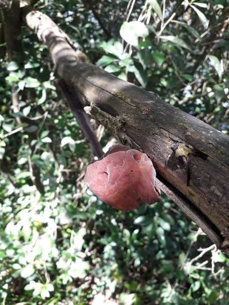 创造. .图片下载