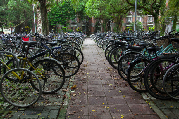 大学，校园，自行车，停车场，自行车图片下载