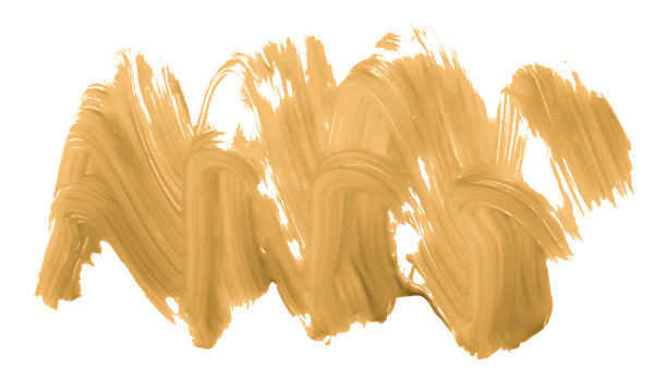 橙色杏刷孤立的白色背景。橙刷金杏图片下载