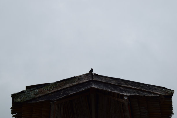 托拉雅传统房屋的屋顶。图片下载