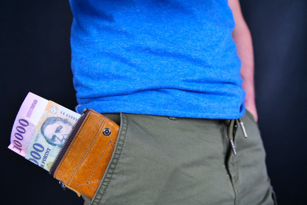 匈牙利福林钞票在一个钱包里，这是在一个人的口袋里。图片下载