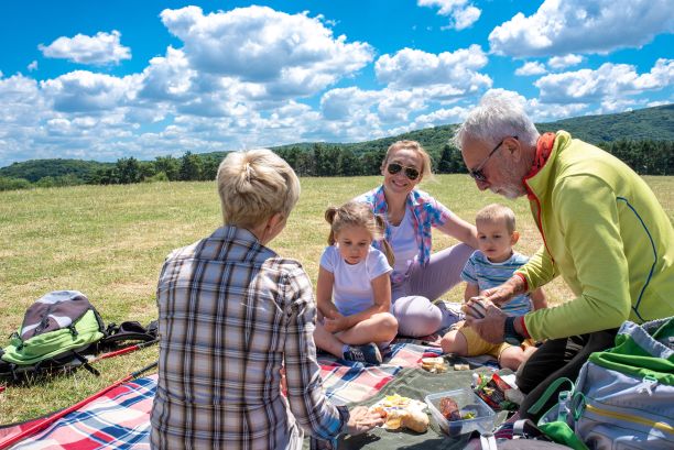 一个阳光明媚的日子，一个白人家庭在开阔的田野里野餐的美丽照片图片下载