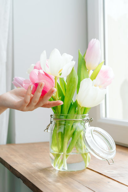女人用手抚摸窗台上花瓶里的郁金香花蕾图片下载