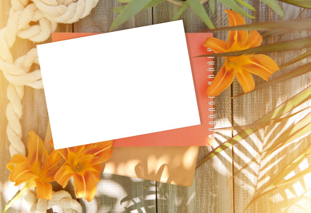 笔记本模拟百合花和手掌阴影图片下载