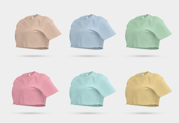 彩色露脐装模板3D渲染，女性t恤与标签，帆布贝拉，服装模型，没有身体，用于设计，印刷，广告。图片下载