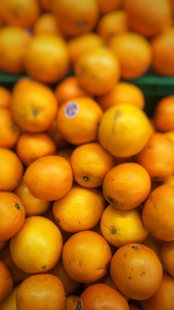 新鲜橙图片下载