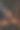 一个穿皮围裙的人做热狗。戴着黑色手套的厨师把洋葱放进圆面包里。图片下载
