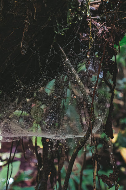 世界中的世界图片下载