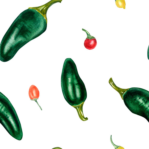 墨西哥胡椒和小辣椒。麻辣水彩无缝花纹孤立在白色上。图片下载