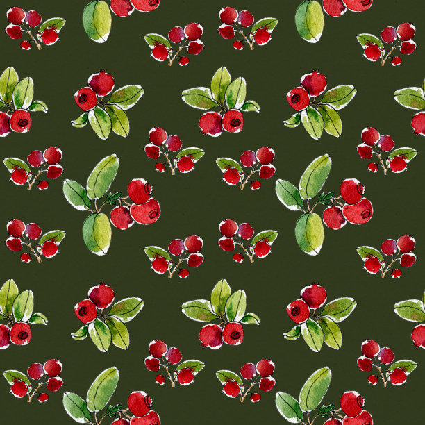 可爱的秋天植物无缝背景与蔓越莓，红莓。北欧浆果。手绘纹理。用于纺织品印花、包装纸、食品、化妆品的包装设计。图片下载