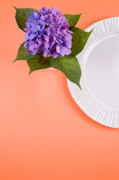 垂直拍摄的一个纸盘在桃色的表面上紫色的绣球花图片下载