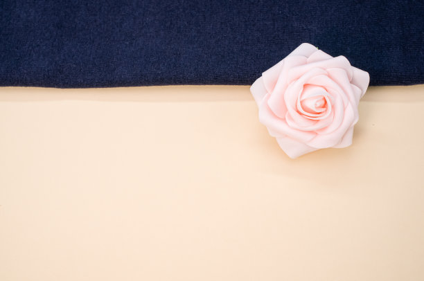 顶部视图的玫瑰从缎带上的蓝布图片下载