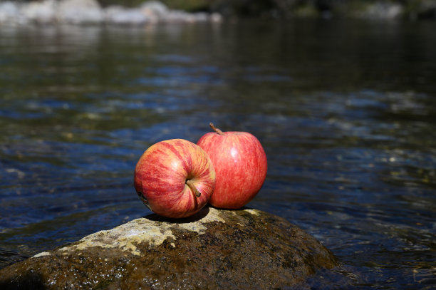 两个苹果孤零零地落在河边的石头上图片下载