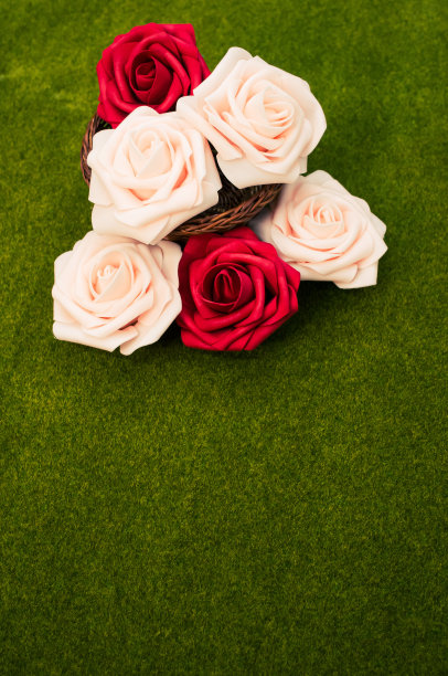 垂直拍摄的红色和白色的花在草篮在绿色的草背景图片下载