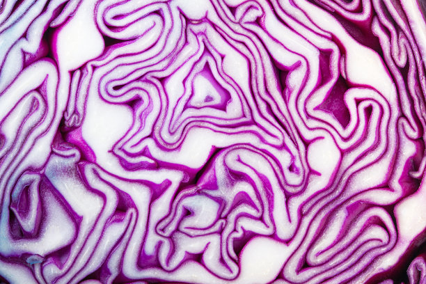 宏观紫色卷心菜蔬菜背景，特写图像的红色卷心菜，抽象，背景，蓝色，芸苔，卷心菜，特写，图片下载