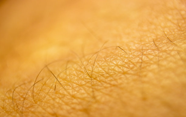 人体皮肤上的细胞特写。人体皮肤背景。医学模式。白种人肤色图片下载