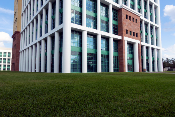 绿草和新办公楼在庆祝，佛罗里达州图片下载