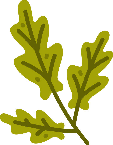 花枝与绿色的叶子可爱的叶子图片下载