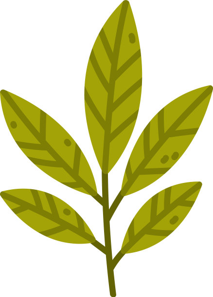 花枝与绿色的叶子可爱的叶子图片下载