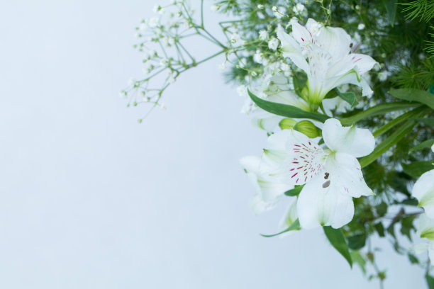 为美丽而装饰的特殊花束，作为昂贵的礼物图片下载