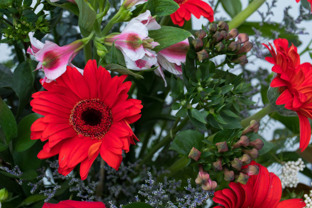 为美丽而装饰的特殊花束，作为昂贵的礼物图片下载