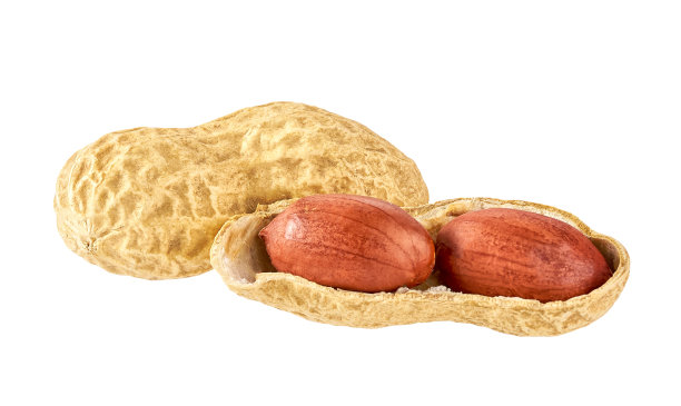 花生孤立在白色背景上。图片下载