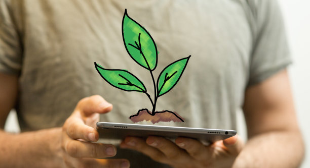 在平板电脑上作为环境概念的生长植物的插图图片下载