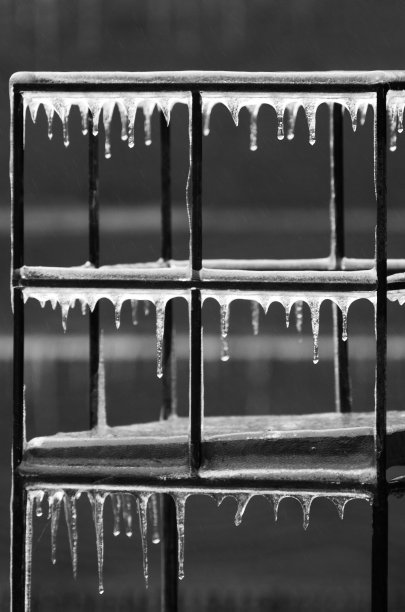 冷冻植物架图片下载