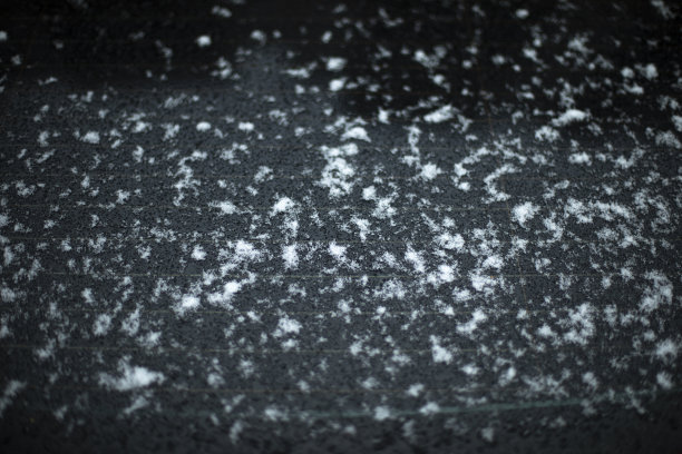 开车下雪。湿润机器表面。运输的细节。图片下载