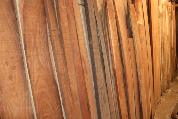 孟加拉国村庄里的一家令人惊叹的木材商店图片下载