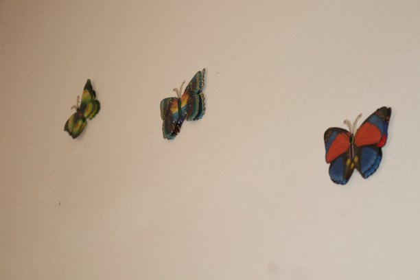 一个挂在墙上的神奇小店图片下载