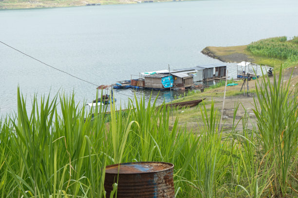村里的自然照片图片下载